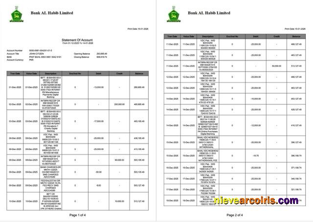 Pakistan Bank Al Habib statement of account Word and PDF, 4 pages, 1-2 pages